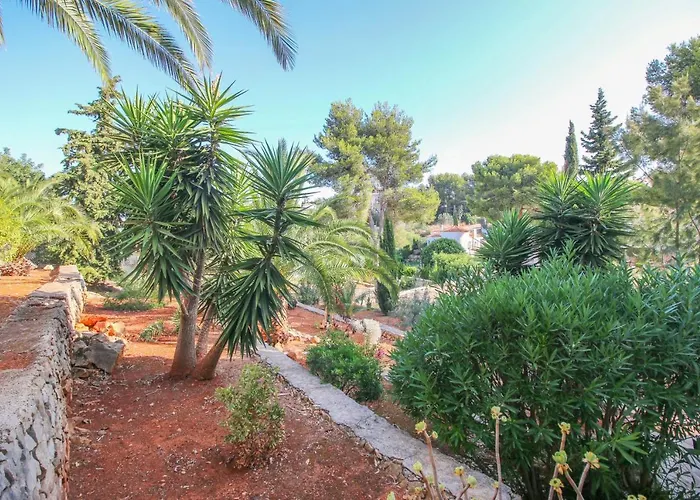 La Florida Jk By Carlosferien * 德尼亚